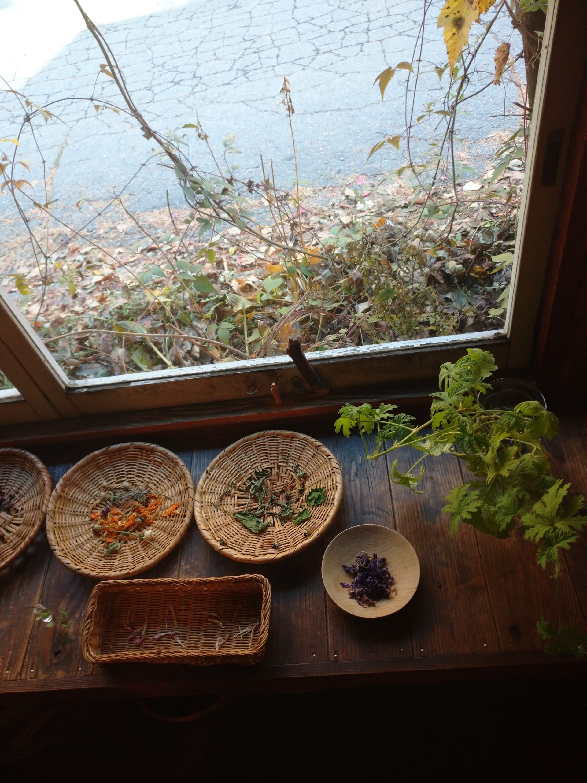 アロマ01 アロマ01